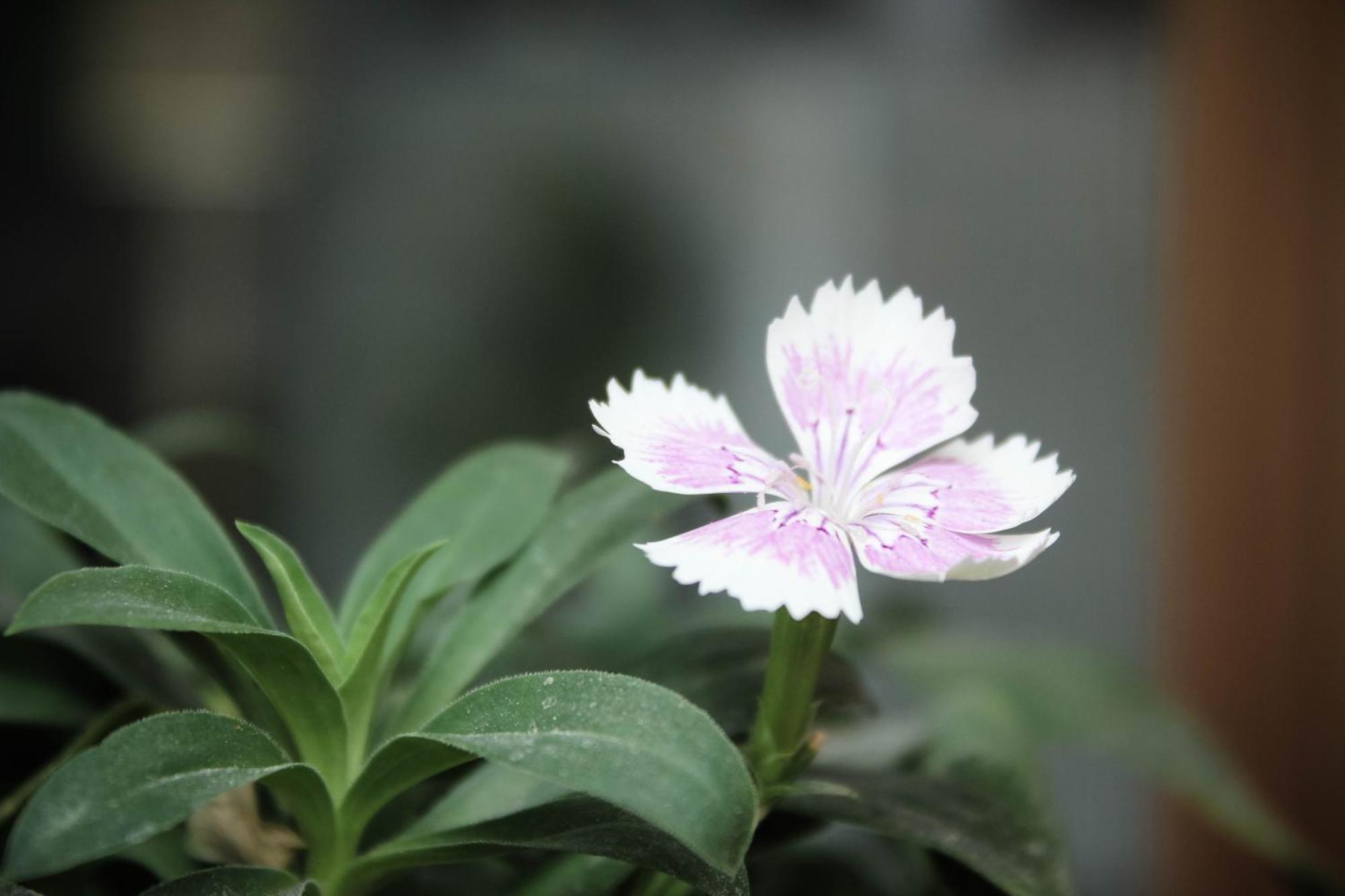 Soli Hospitale 宿里旅行舍 Città di Hualien Esterno foto